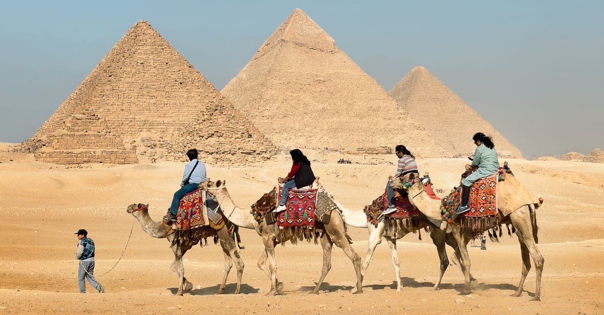 Travel from Cairo to Romania via schengen visa - Four People Riding on Camels Across the Pyramids Travel from Cairo to Romania via schengen visa - Four People Riding on Camels Across the Pyramids