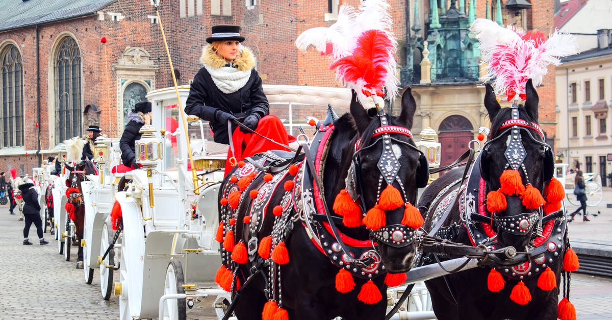 Travel from Tatranska Lomnica to Krakow city centre - Woman Riding In A Charriot Travel from Tatranska Lomnica to Krakow city centre - Woman Riding In A Charriot