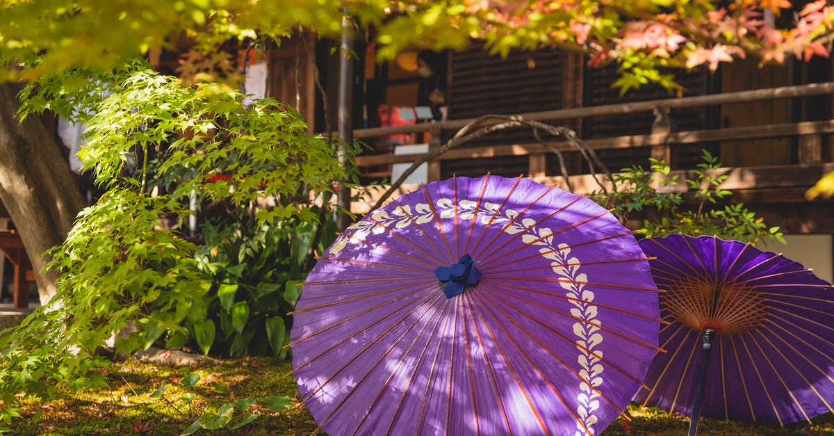 Travel to China as a Chinese national [duplicate] - Lilac umbrella in garden near house