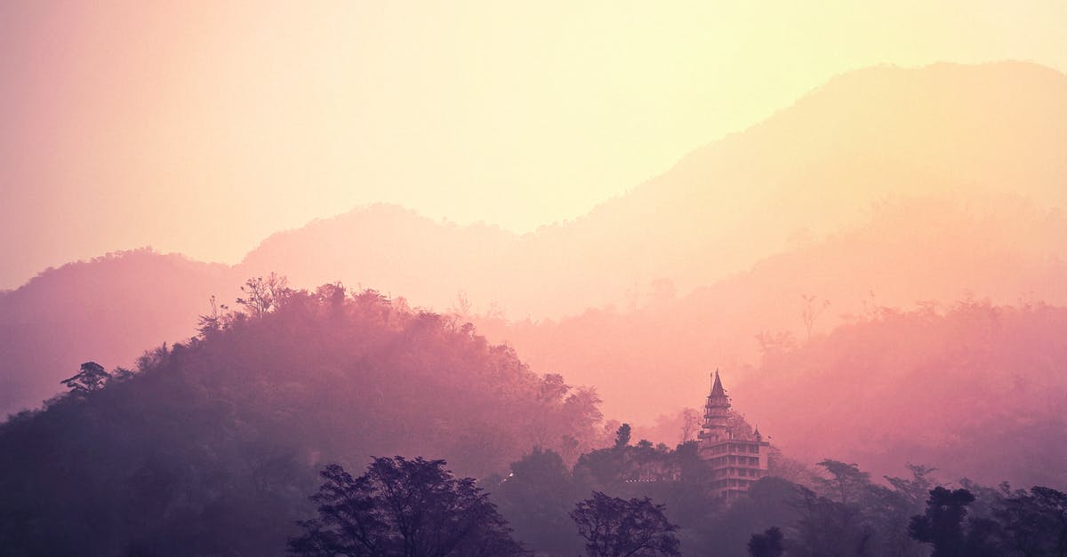 Travel to India after H1B expiration - Silhouette of Trees at Sunset