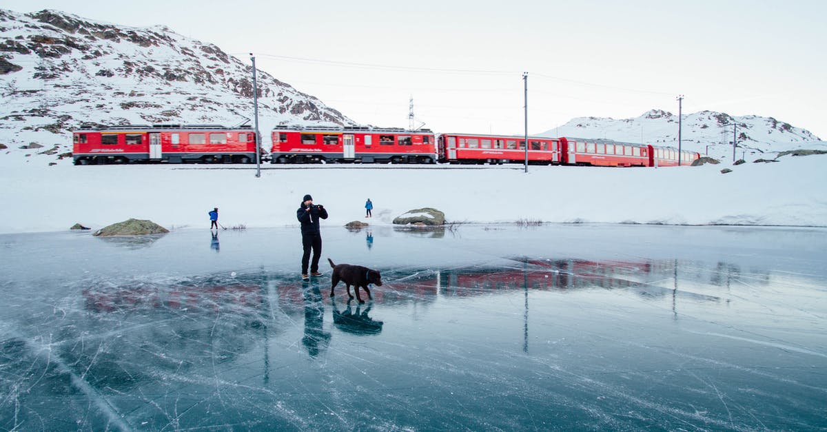 Travel to London via ICE Train from Frankfurt. 1951 UN Convention Travel Document Issued by Australia - Man and Adult Labrador Retriever Walking on Frozen Water Field Travel to London via ICE Train from Frankfurt. 1951 UN Convention Travel Document Issued by Australia - Man and Adult Labrador Retriever Walking on Frozen Water Field
