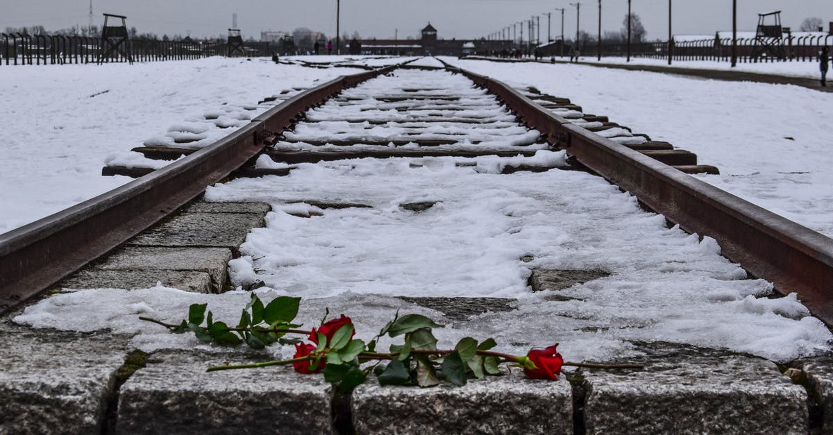 Travel to London via ICE Train from Frankfurt. 1951 UN Convention Travel Document Issued by Australia - Red Roses on A Railway Covered With Snow Travel to London via ICE Train from Frankfurt. 1951 UN Convention Travel Document Issued by Australia - Red Roses on A Railway Covered With Snow