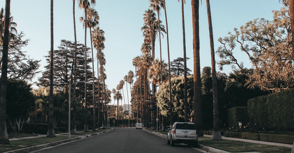 Traveling to Canada by car from Los Angeles - White Vehicle Parked on Road Between Trees Traveling to Canada by car from Los Angeles - White Vehicle Parked on Road Between Trees