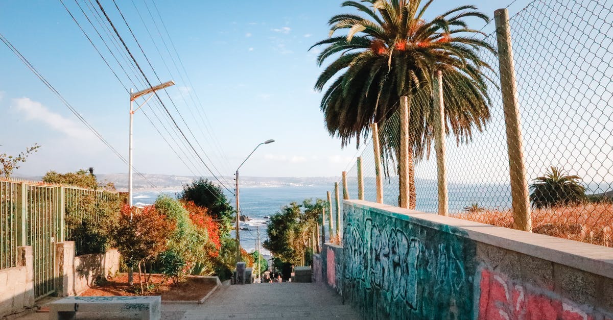 Traveling to Chile without knowing Spanish? - Pathway Near Trees and Street Posts Traveling to Chile without knowing Spanish? - Pathway Near Trees and Street Posts