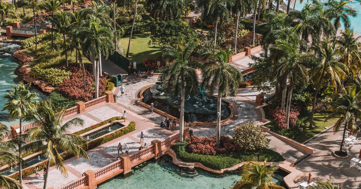 Traveling to the Bahamas now worried about robbery sexual assault - Aerial Photo of Palm Trees Traveling to the Bahamas now worried about robbery sexual assault - Aerial Photo of Palm Trees