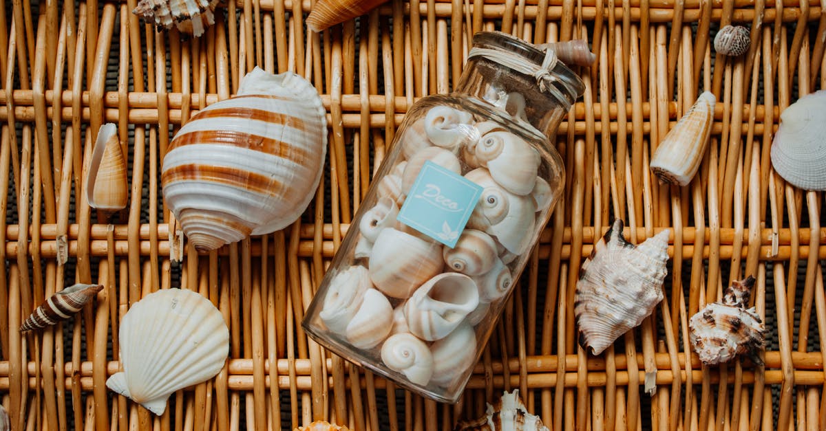 Traveling to USA from Morocco through Barcelona do I need a transit visa If I am asked to collect my chec-luggage (using different airline company) [duplicate] - Different seashells from vacation on wicker mat