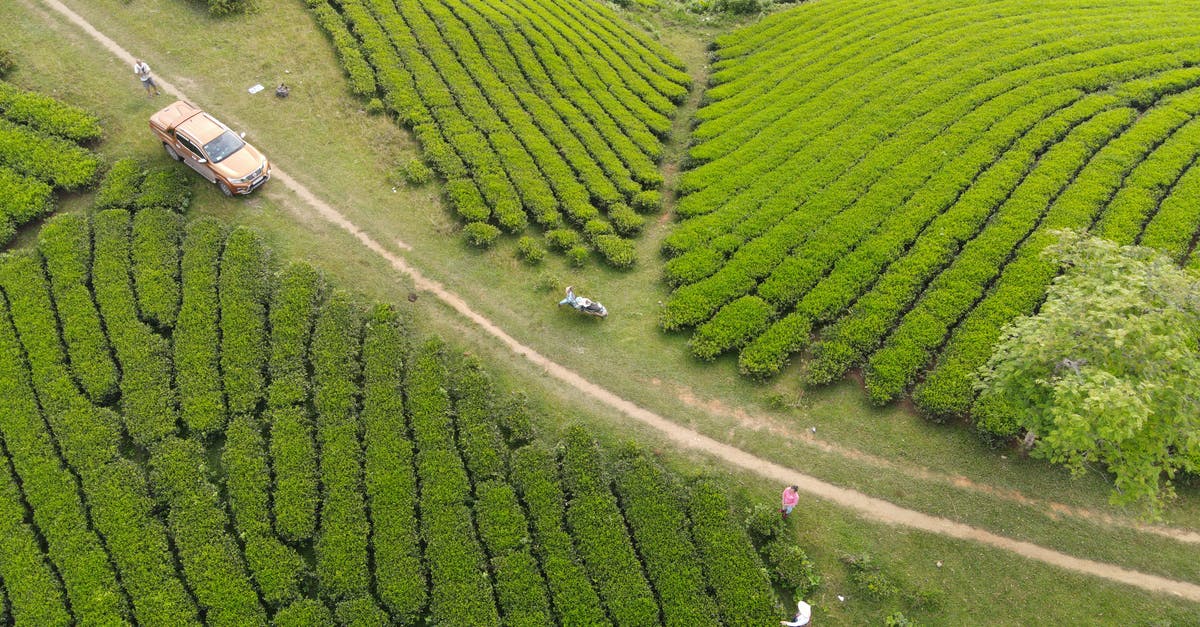 Travelling From London to Vietnam being Spanish, Visa issues? - Aerial view of anonymous tourists standing near off road car parked on narrow rural road on hill with lush green teas in plantations in Vietnam Travelling From London to Vietnam being Spanish, Visa issues? - Aerial view of anonymous tourists standing near off road car parked on narrow rural road on hill with lush green teas in plantations in Vietnam