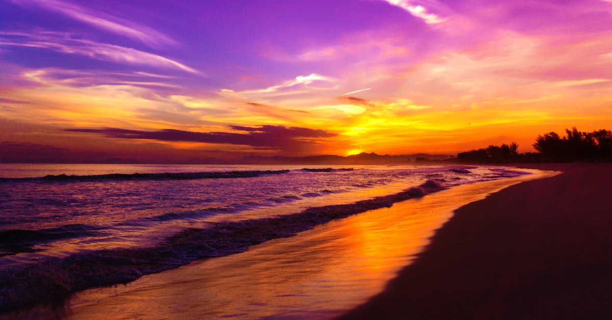 Travelling to Brazil without return ticket - Photo of Beach During Golden Hour Travelling to Brazil without return ticket - Photo of Beach During Golden Hour