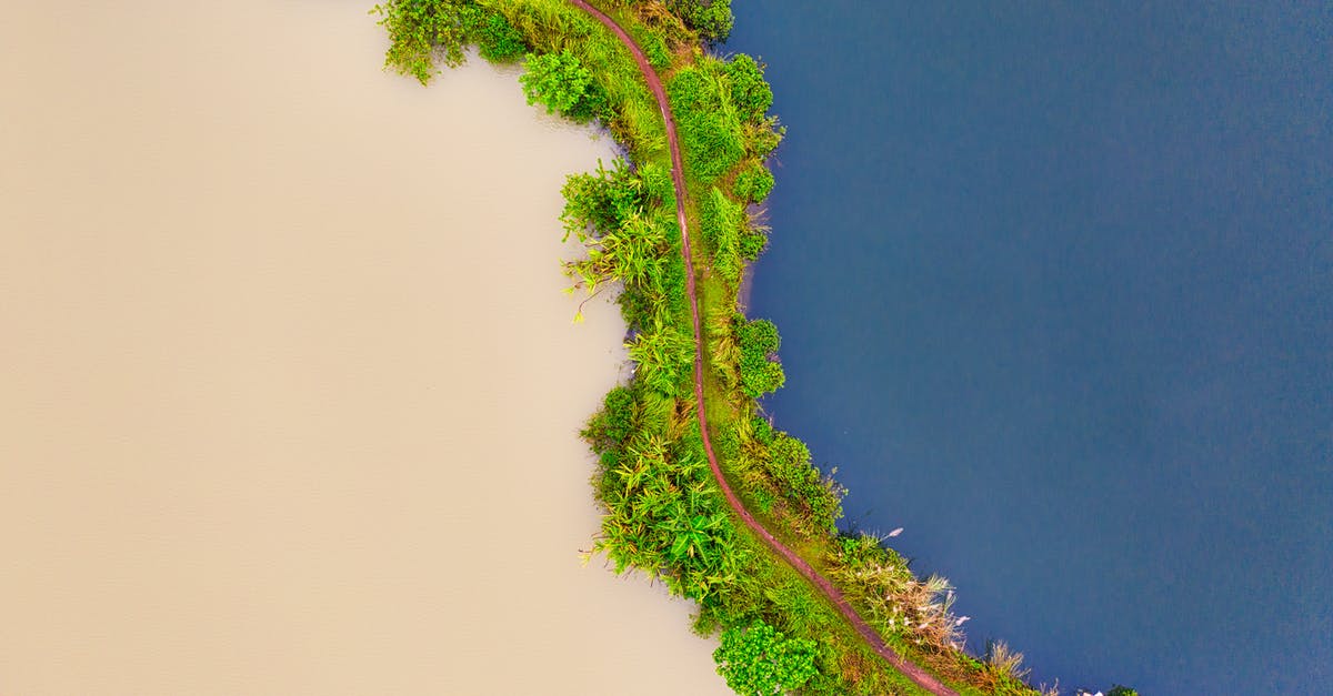 Travelling to Indonesia. Can I bring a vacuum cleaner? - Trees Near Ocean Travelling to Indonesia. Can I bring a vacuum cleaner? - Trees Near Ocean