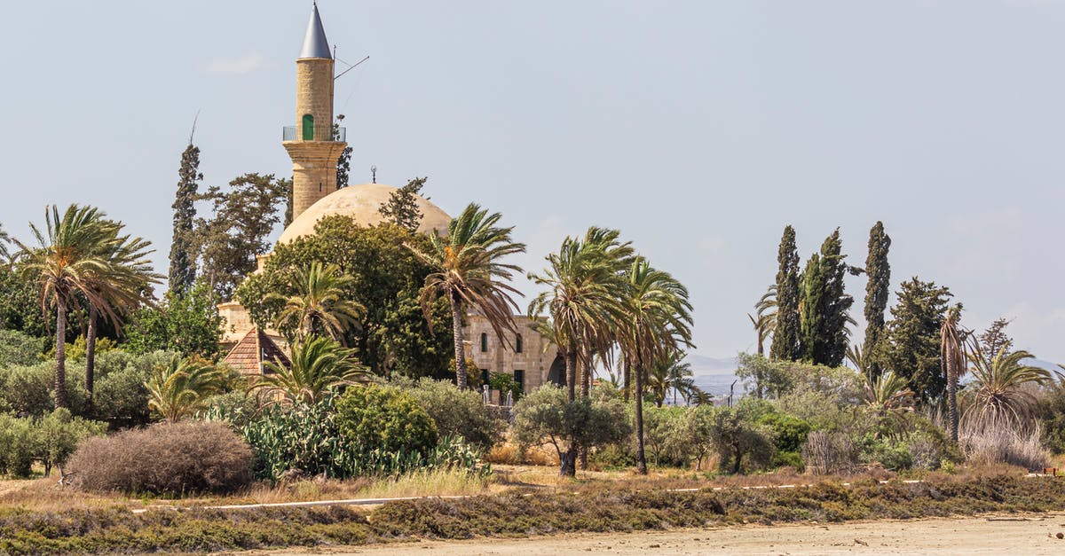Travelling to Northern Cyprus on Turkish e-visa for Pakistani national - Green Palm Trees Near White Concrete Building Travelling to Northern Cyprus on Turkish e-visa for Pakistani national - Green Palm Trees Near White Concrete Building