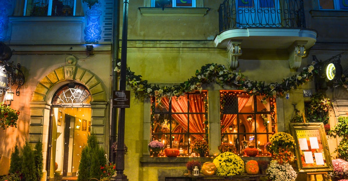 Travelling to Poland alone at the age of 17 - Assorted Flowers Beside Brown Concrete House a Nighttime Travelling to Poland alone at the age of 17 - Assorted Flowers Beside Brown Concrete House a Nighttime