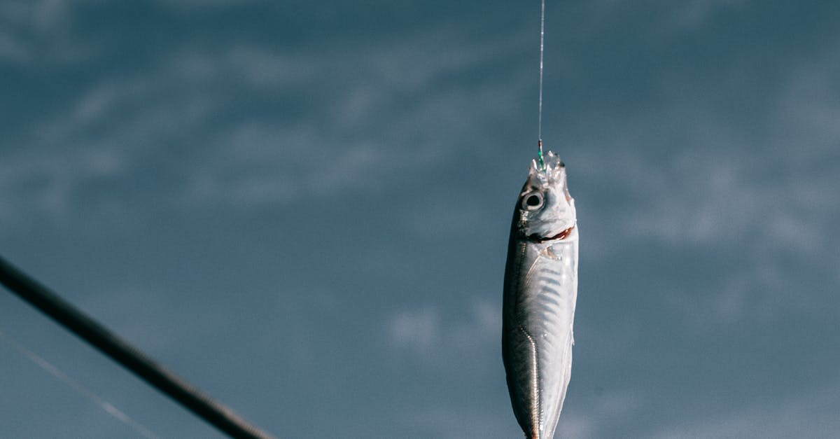 Travelling to USA with passport that combines surname and given name on a single line - Fish hanging on hook against blurred background