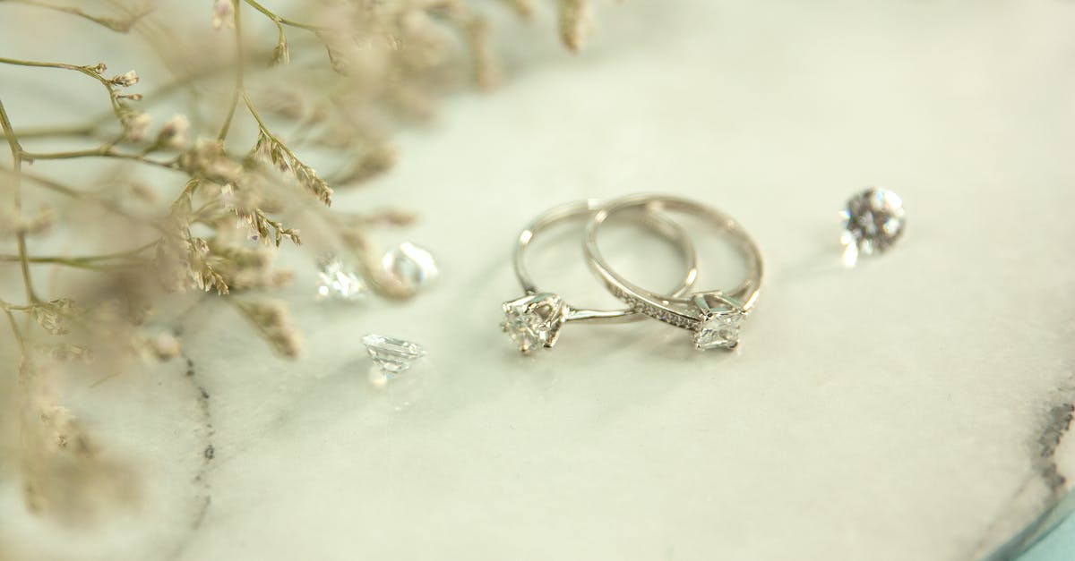Travelling with expensive jewelries gift from my princess employer - Engagement rings placed near twigs Travelling with expensive jewelries gift from my princess employer - Engagement rings placed near twigs
