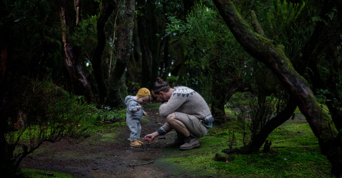 Travelling with infant who stops being an infant during the trip (turns 2) - Side view of young man wearing hiking boots and warm sweater during hiking with toddler baby inside coniferous forest covered of green moss while walking on trail Travelling with infant who stops being an infant during the trip (turns 2) - Side view of young man wearing hiking boots and warm sweater during hiking with toddler baby inside coniferous forest covered of green moss while walking on trail