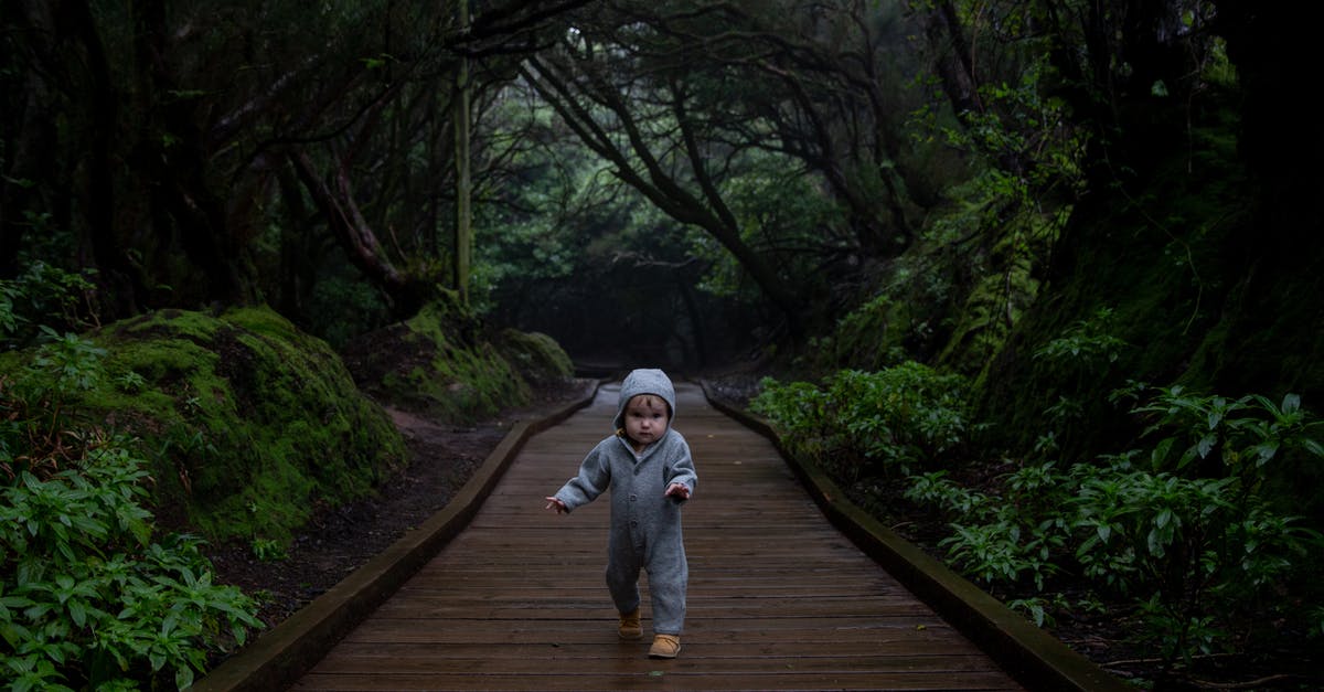Travelling with infant who stops being an infant during the trip (turns 2) - Concentrated kid trying making steps on planked footpath in dark deep forest in cold day Travelling with infant who stops being an infant during the trip (turns 2) - Concentrated kid trying making steps on planked footpath in dark deep forest in cold day