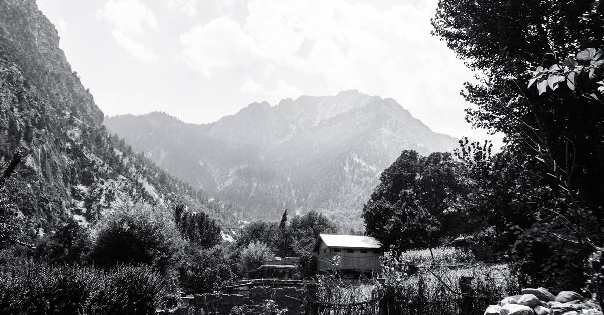 Trees in the Rhine Valley in early November - Greyscale Photography of Trees Beside Hut Trees in the Rhine Valley in early November - Greyscale Photography of Trees Beside Hut