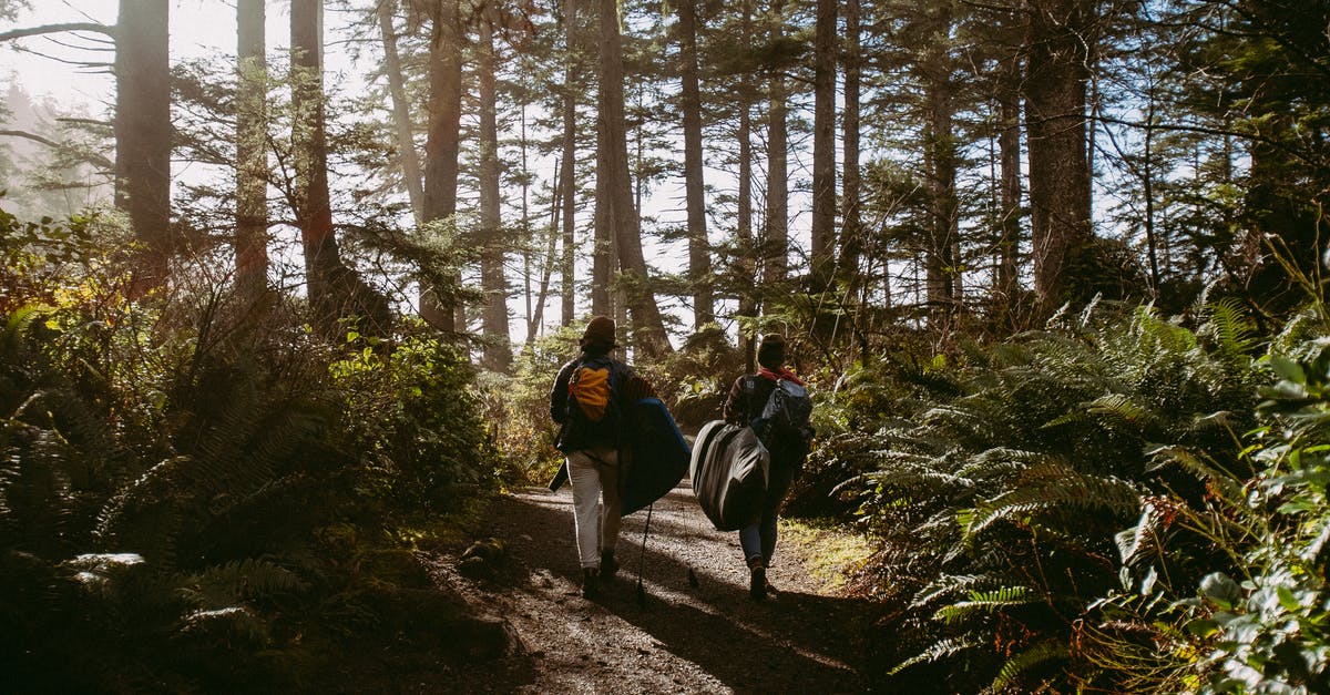 Trekking in Russia similar to Kungsleden - Woman in Black Jacket Walking on Dirt Road Between Trees Trekking in Russia similar to Kungsleden - Woman in Black Jacket Walking on Dirt Road Between Trees