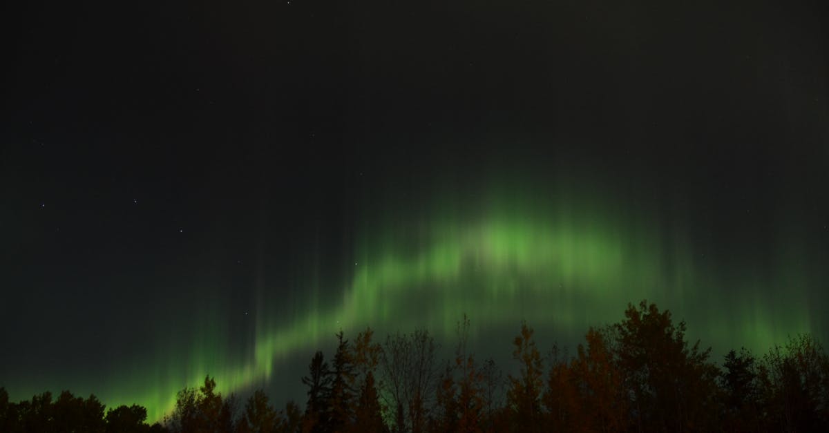 Tromsø for the Aurora Borealis in March - Aurora Borialis