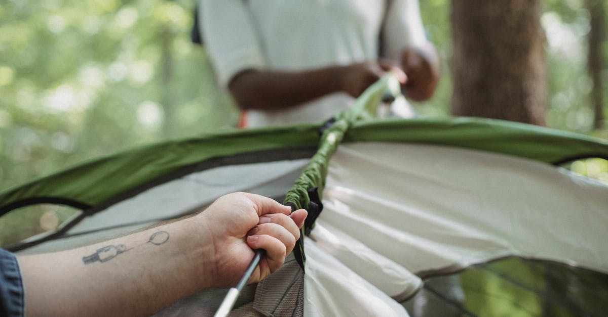 True current process of extending Mongolian tourist visa - Crop multiracial friends setting up tent in woods True current process of extending Mongolian tourist visa - Crop multiracial friends setting up tent in woods