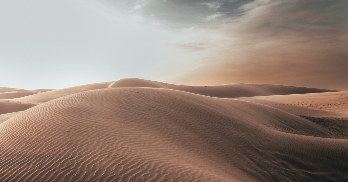 TSA PreCheck for non-immigrants - Brown Sand TSA PreCheck for non-immigrants - Brown Sand