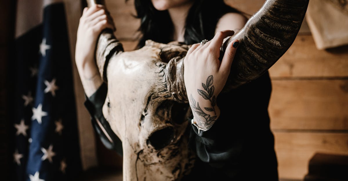 Two long visits to USA on VWP - Crop young brunette with tattooed arms and legs with long horned animal skull sitting near wooden wall with US flag Two long visits to USA on VWP - Crop young brunette with tattooed arms and legs with long horned animal skull sitting near wooden wall with US flag