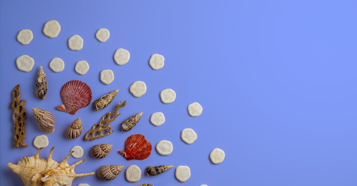 UK DATV visa for round trip - Overhead view of assorted decorative dry sea shells and corals with ribbed surface on bright background UK DATV visa for round trip - Overhead view of assorted decorative dry sea shells and corals with ribbed surface on bright background