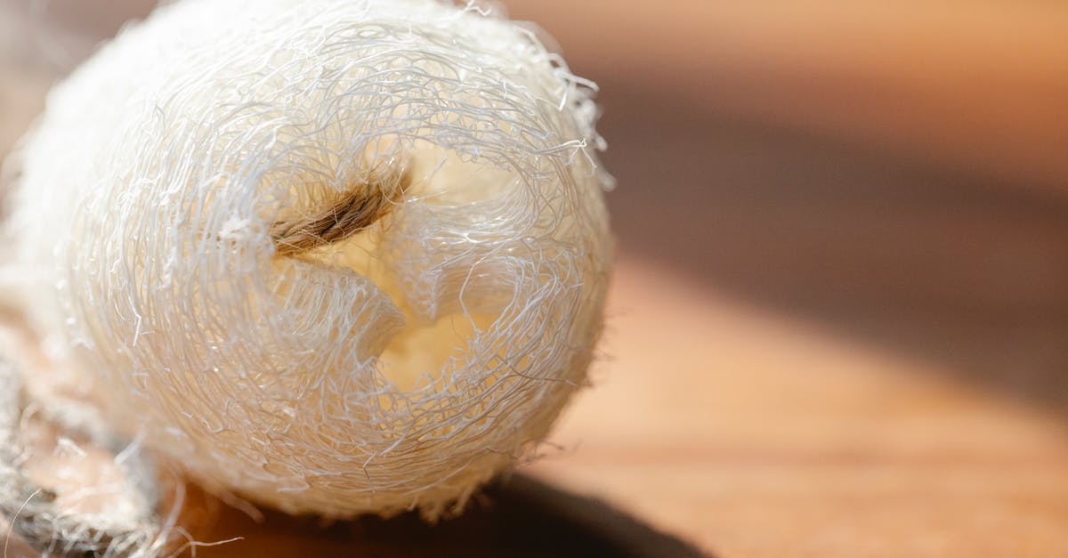 UK visa refusal error by the ECO [closed] - Closeup of small organic eco sponge of loofah placed on wooden surface in bright sunlight