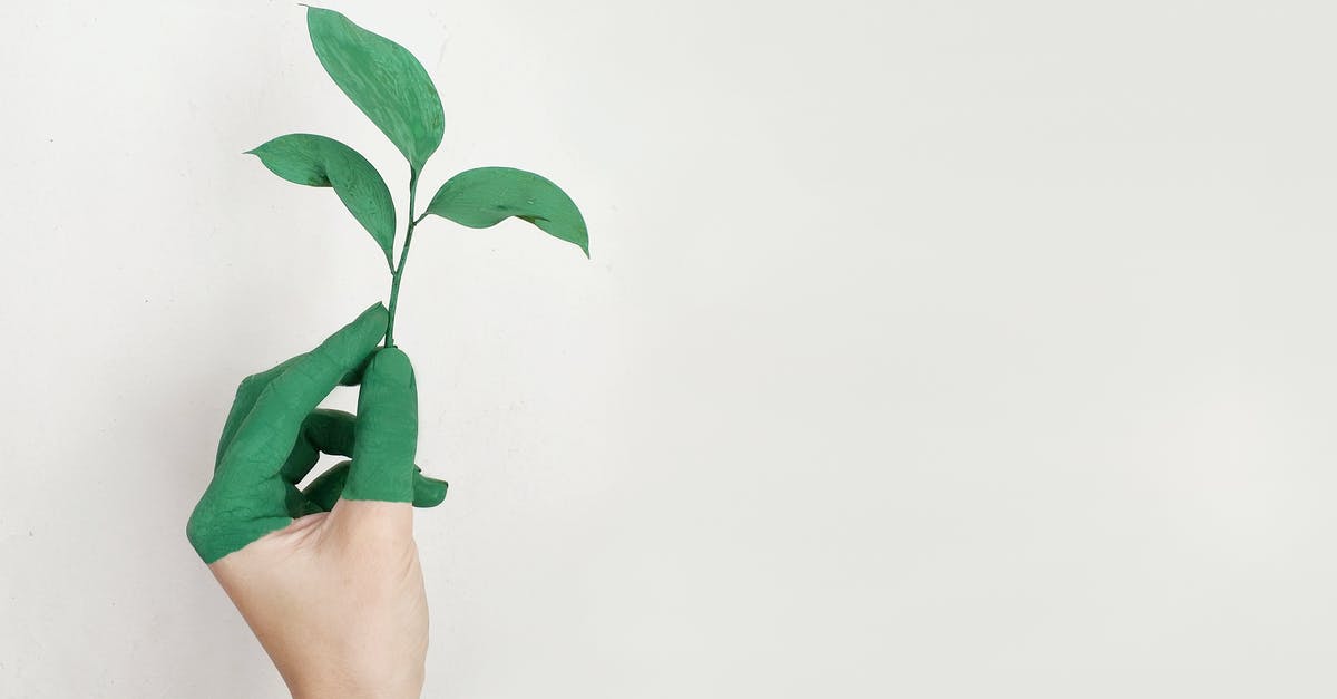 UK visa refusal error by the ECO [closed] - Person's Left Hand Holding Green Leaf Plant