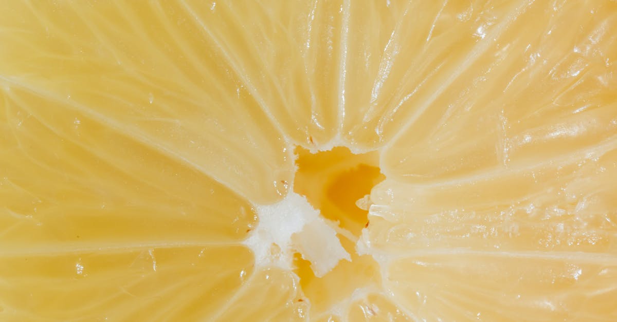 UK visa refusal error by the ECO [closed] - Closeup cross section of lemon with fresh ripe juicy pulp
