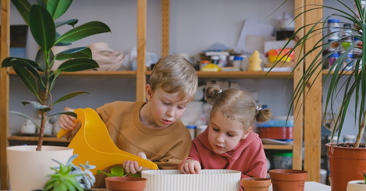 UKVI ECO made a mistake on my visa decision - Free stock photo of boy, child, children UKVI ECO made a mistake on my visa decision - Free stock photo of boy, child, children