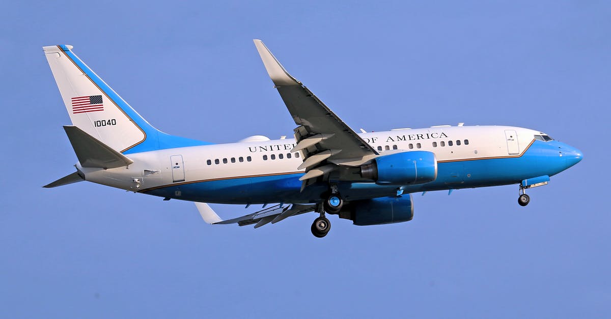 Unaccompanied minor flying from the USA to Russia - Airplane of the United States of America in the Sky Unaccompanied minor flying from the USA to Russia - Airplane of the United States of America in the Sky