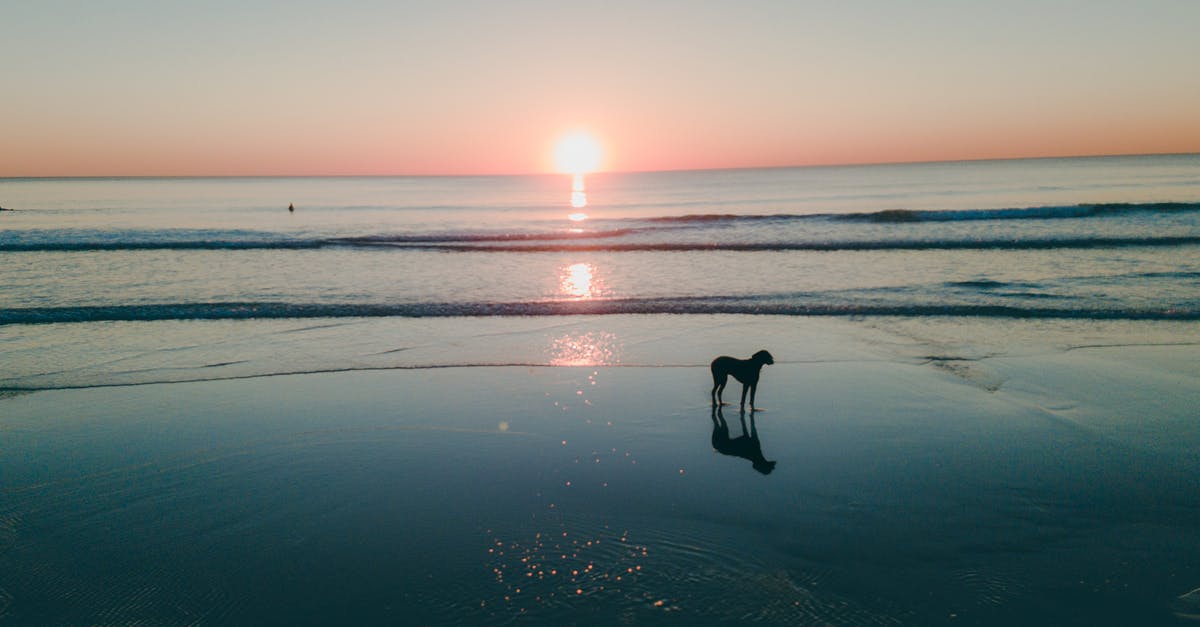 Understanding Portugal addresses - Dog On Seashore Understanding Portugal addresses - Dog On Seashore