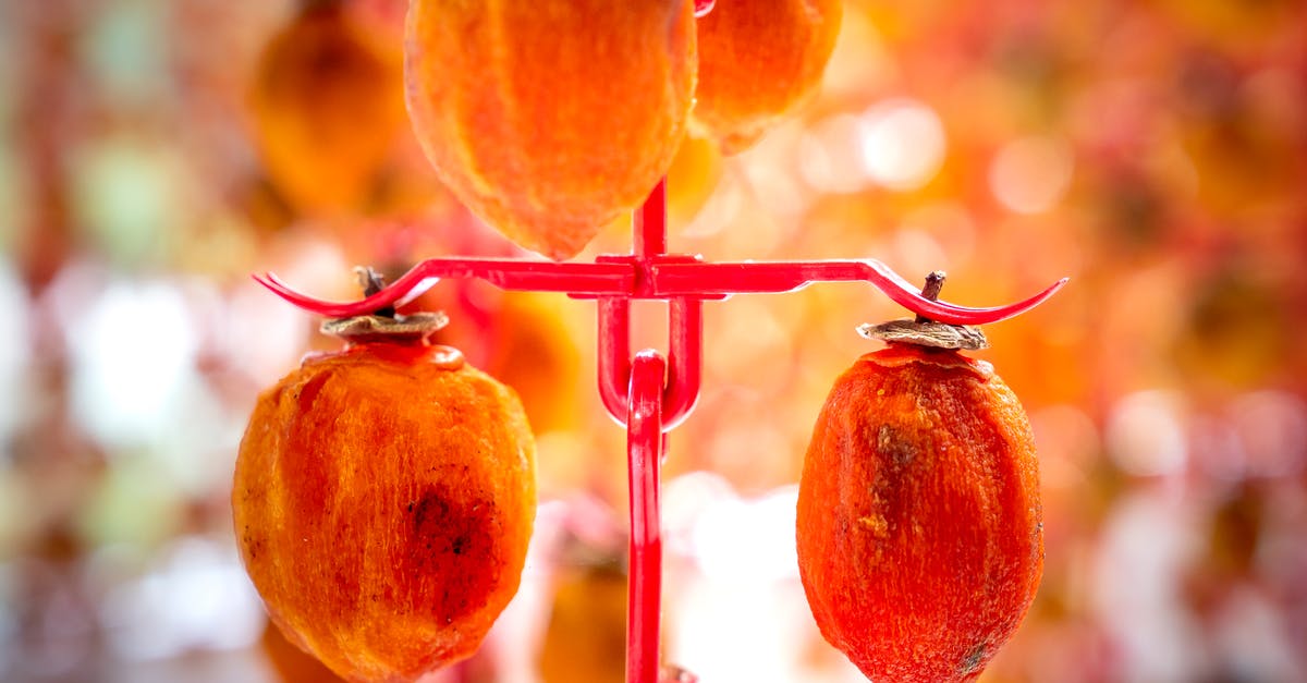 Unique/exotic Japanese food? - Appetizing sweet persimmons hanging from metal hooks and sun drying in traditional Japanese Hoshigaki method in farm Unique/exotic Japanese food? - Appetizing sweet persimmons hanging from metal hooks and sun drying in traditional Japanese Hoshigaki method in farm