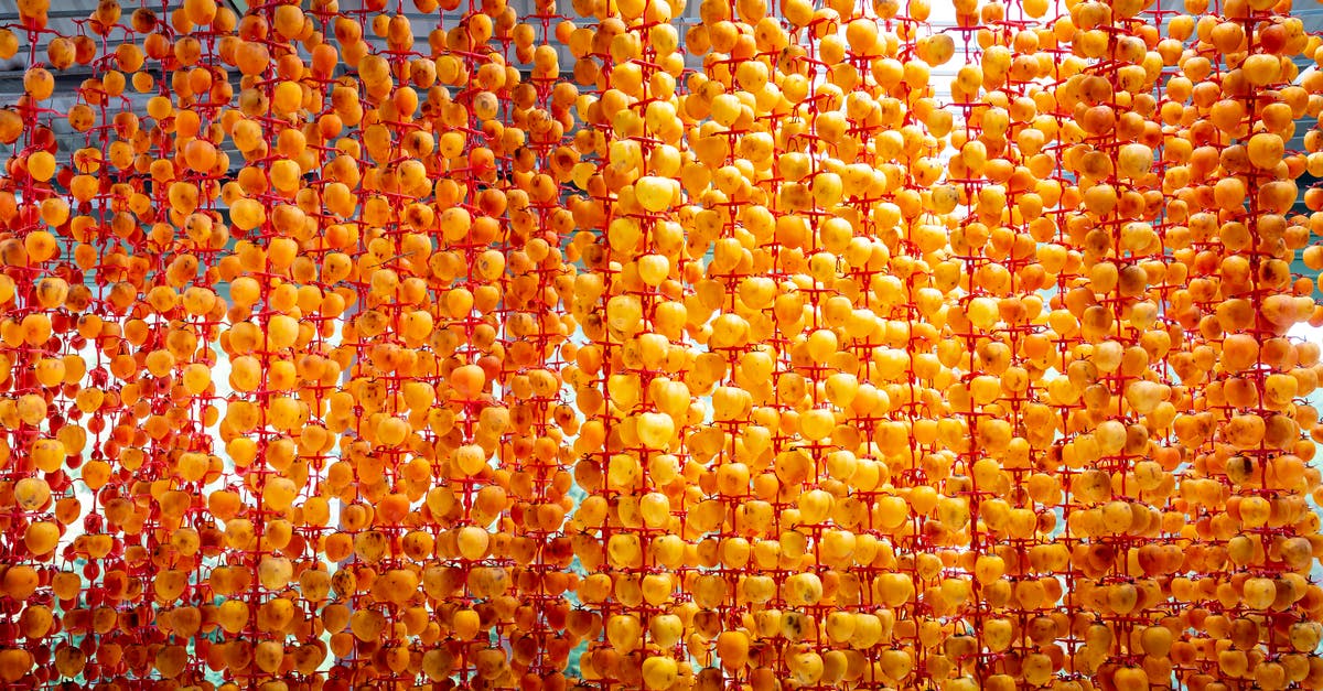 Unique/exotic Japanese food? - Whole persimmons strung on threads and sun drying in garden Unique/exotic Japanese food? - Whole persimmons strung on threads and sun drying in garden