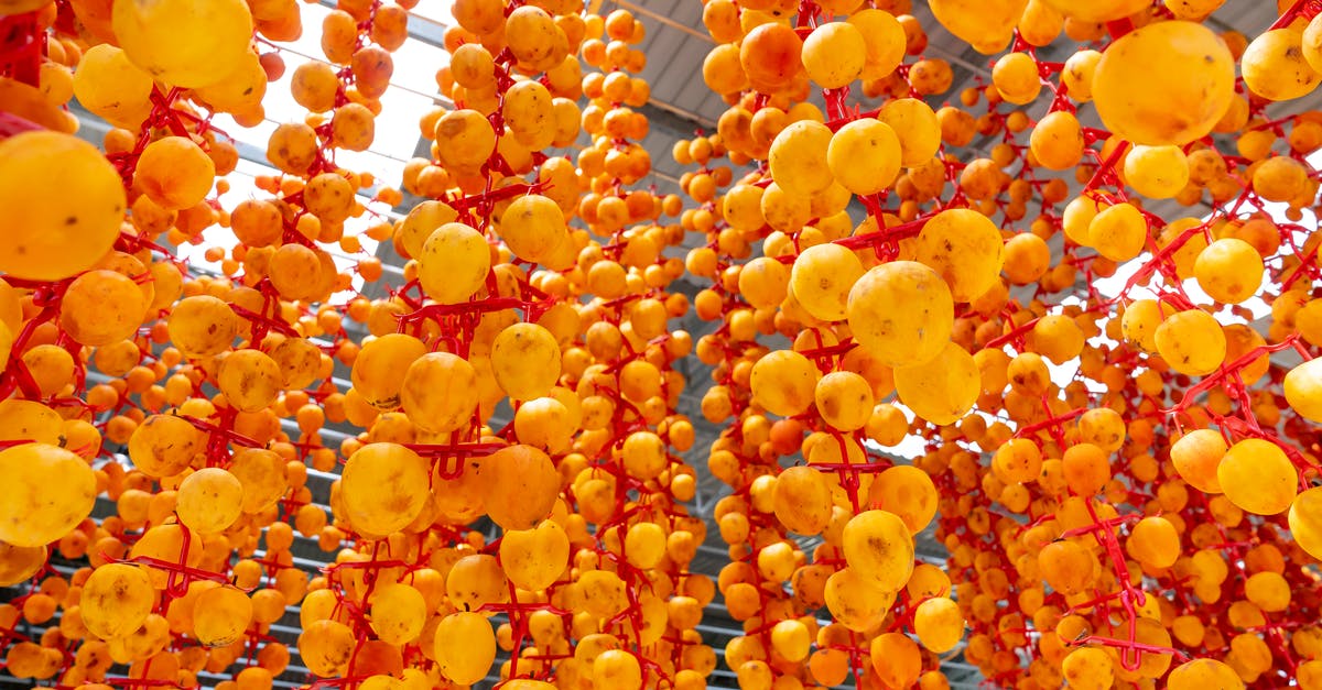 Unique/exotic Japanese food? - From below of many ripe traditional Japanese persimmons hanging on ropes in local market in sunlight Unique/exotic Japanese food? - From below of many ripe traditional Japanese persimmons hanging on ropes in local market in sunlight