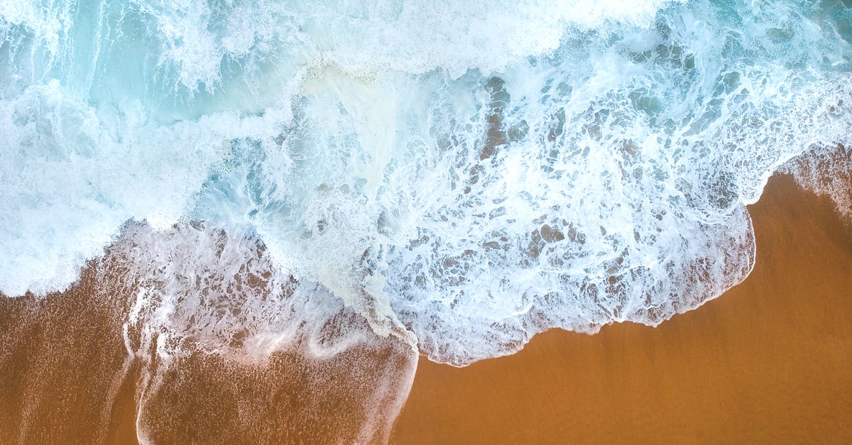 Using an Egypt driver's license in California with a J-1 visa [duplicate] - Bird's Eye View Photo of Beach
