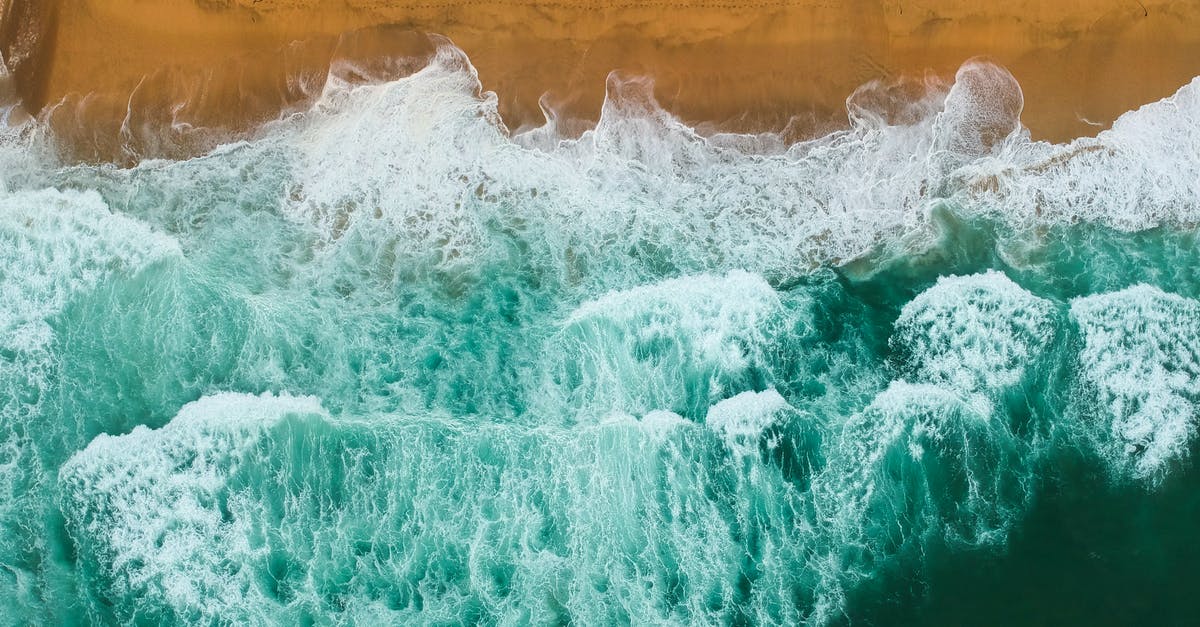 Using an Egypt driver's license in California with a J-1 visa [duplicate] - Sea Waves