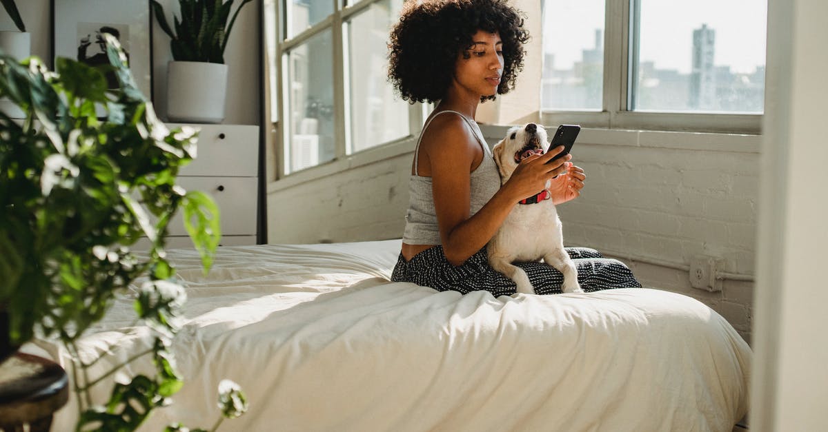 Using the Alaska Airlines Companion Fare on Air France - Side view of young ethnic female watching cellphone while sitting on bed with dog at home Using the Alaska Airlines Companion Fare on Air France - Side view of young ethnic female watching cellphone while sitting on bed with dog at home