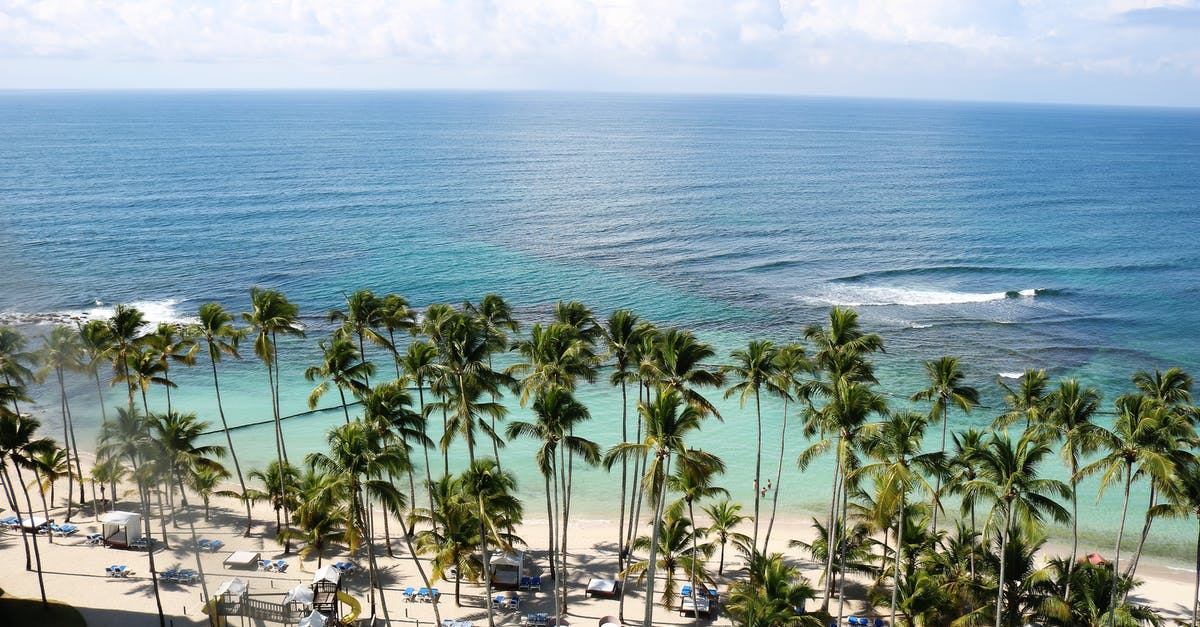 Vacation visa requirements to Jamaica - Green Palm Trees Near Body of Water Vacation visa requirements to Jamaica - Green Palm Trees Near Body of Water