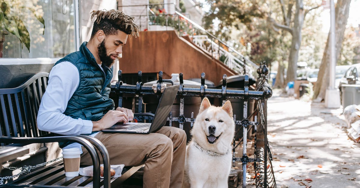 Valid B1/B2 visa owner wins the DV lottery, needs to go US before the interview. Can he? - Side view of African American male sitting on bench with takeaway coffee and surfing netbook near Akita Inu dog on street