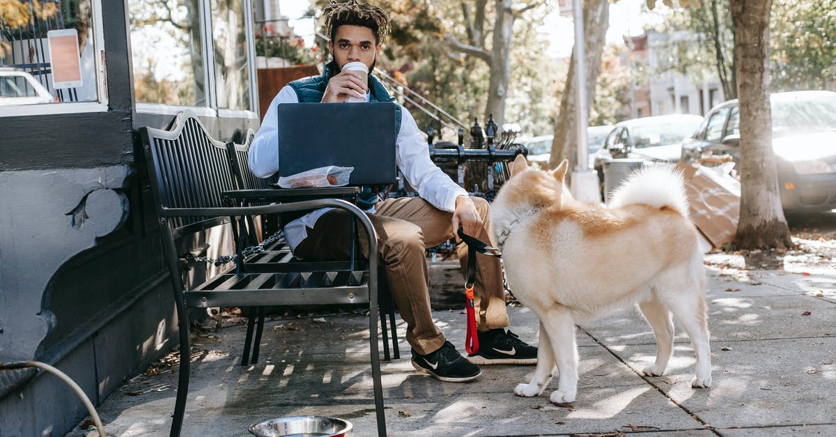 Valid B1/B2 visa owner wins the DV lottery, needs to go US before the interview. Can he? - Full body of serious African American male sitting on bench with laptop near Akita Inu and drinking hot drink during online work on street