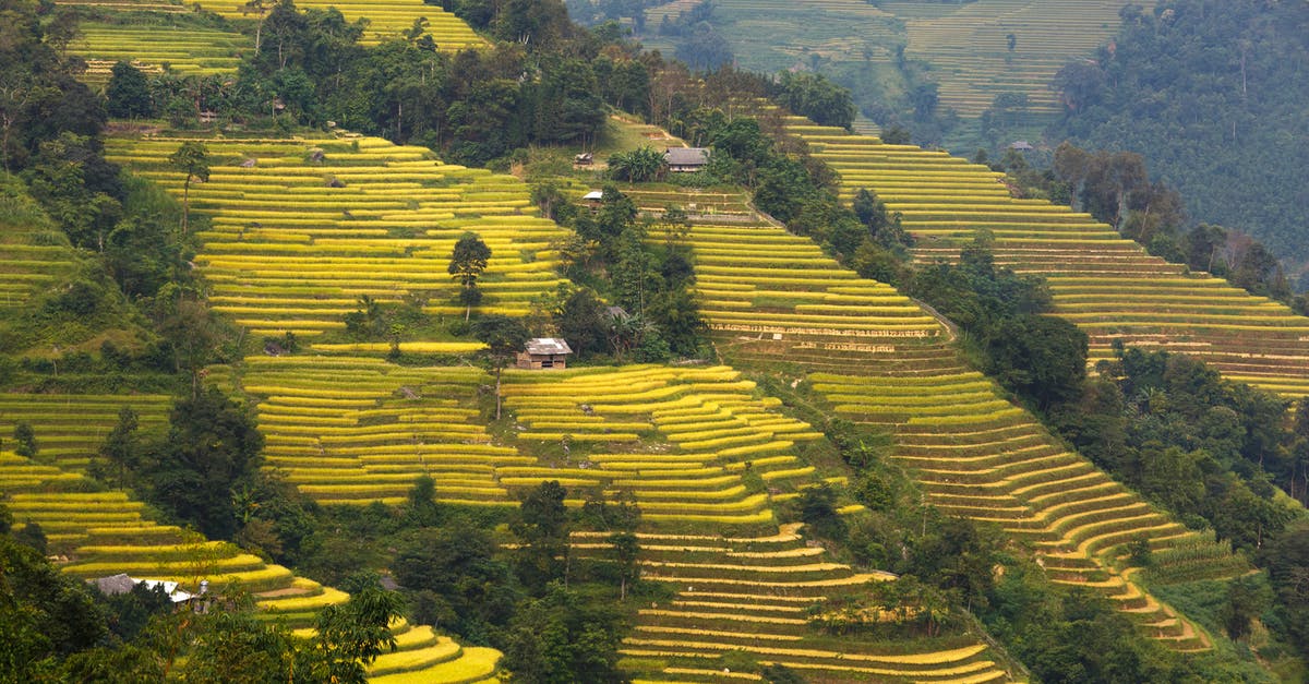 Validity of driver's license in a EU country - Rice Terraces Validity of driver's license in a EU country - Rice Terraces