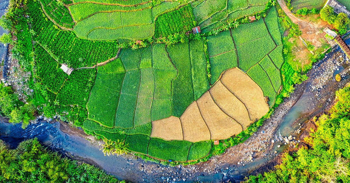 Validity of driver's license in a EU country - Aerial Photography of Green Field Validity of driver's license in a EU country - Aerial Photography of Green Field
