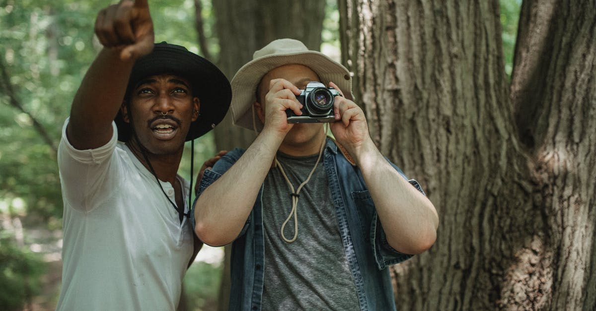 Vantage point in Austin, Texas for photos? - Black traveler pointing with finger near friend with photo camera Vantage point in Austin, Texas for photos? - Black traveler pointing with finger near friend with photo camera