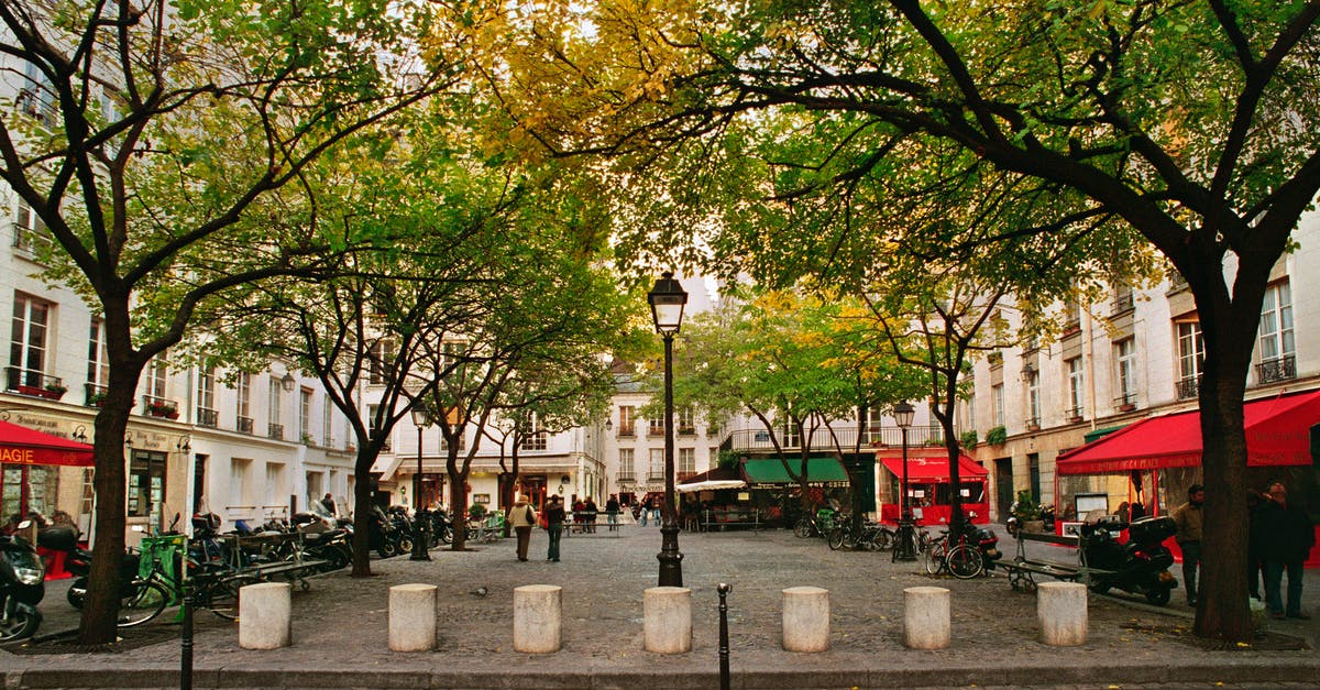 Vegan restaurants in Paris (5th arrondissement) - Photo of a Plaza with Restaurants During Fall Vegan restaurants in Paris (5th arrondissement) - Photo of a Plaza with Restaurants During Fall