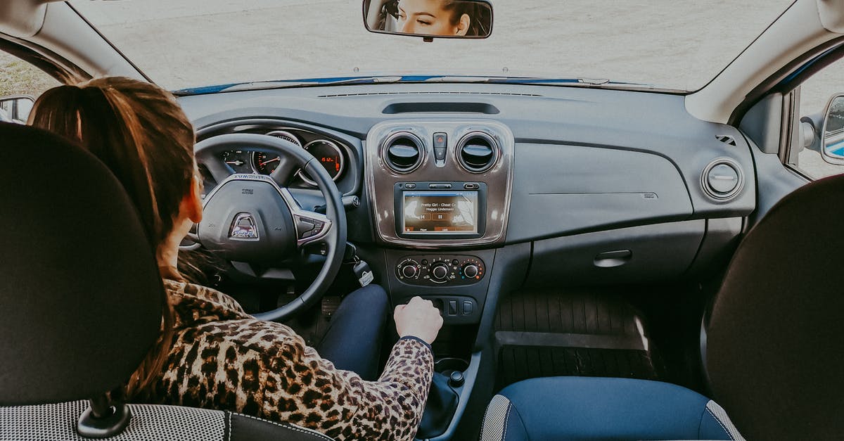 Vehicle Permit at the Mexican Border without owner present - Back view of modern woman in stylish fur coat driving car confidently looking away Vehicle Permit at the Mexican Border without owner present - Back view of modern woman in stylish fur coat driving car confidently looking away