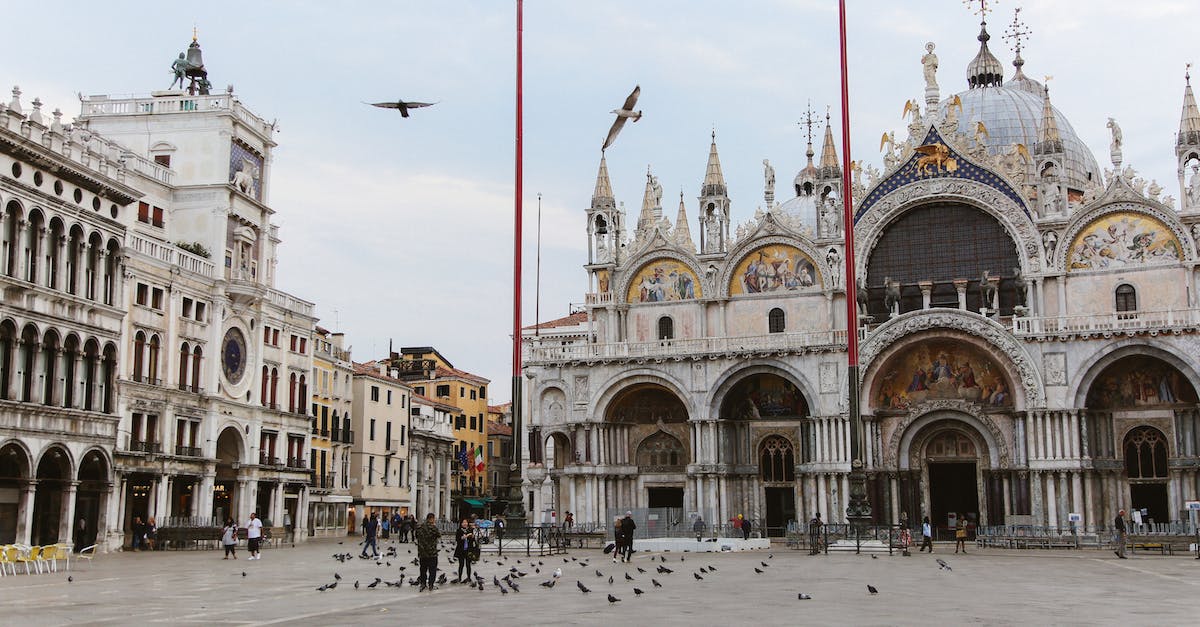 Venice Marco Polo Airport to Venice - People and Birds at the Piazza San Marco Venice Marco Polo Airport to Venice - People and Birds at the Piazza San Marco