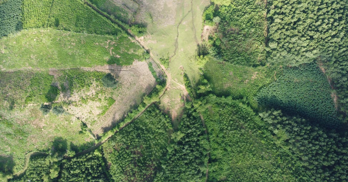 Vietnam passport with green card, do I need a transit visa for my connecting flight in Japan? - Green Trees on Mountain Vietnam passport with green card, do I need a transit visa for my connecting flight in Japan? - Green Trees on Mountain