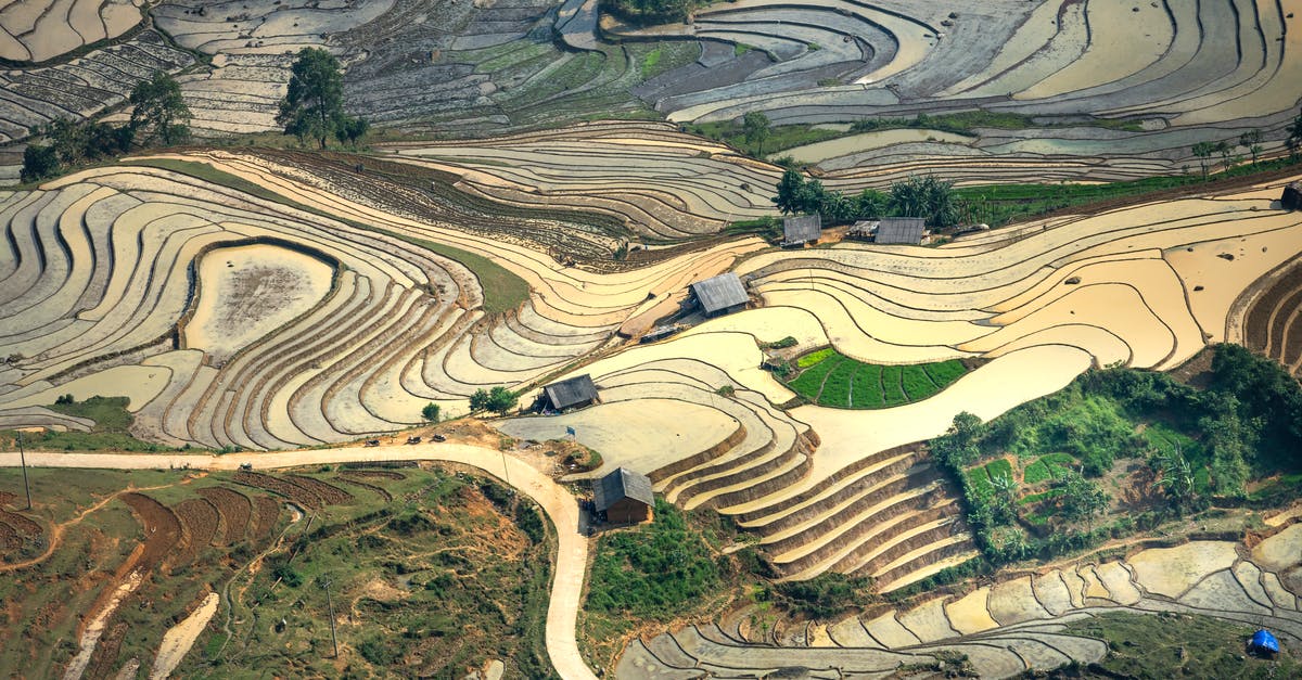 Vietnam visa exemption by land - View on Rice Fields During Sunny Day Vietnam visa exemption by land - View on Rice Fields During Sunny Day