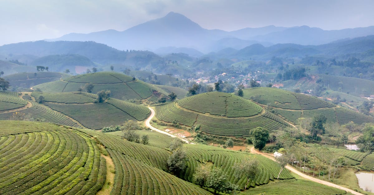 Vietnam visa exemption by land - Green Grass Field Under White Sky Vietnam visa exemption by land - Green Grass Field Under White Sky